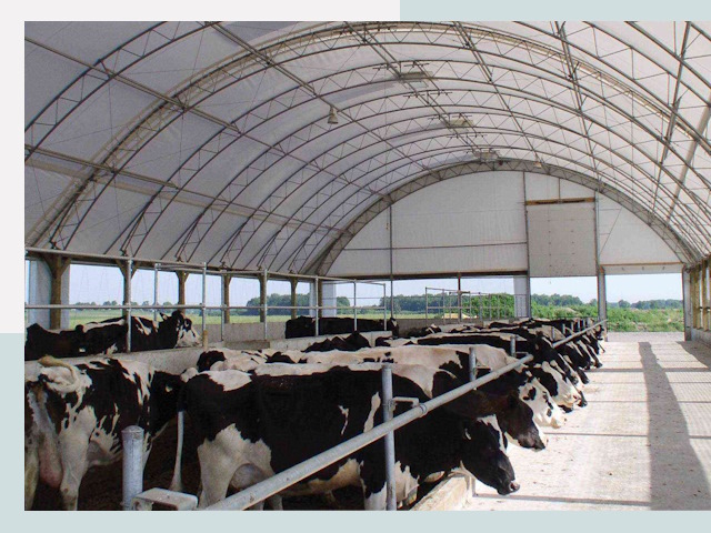 Тентовые коровники в Киржаче